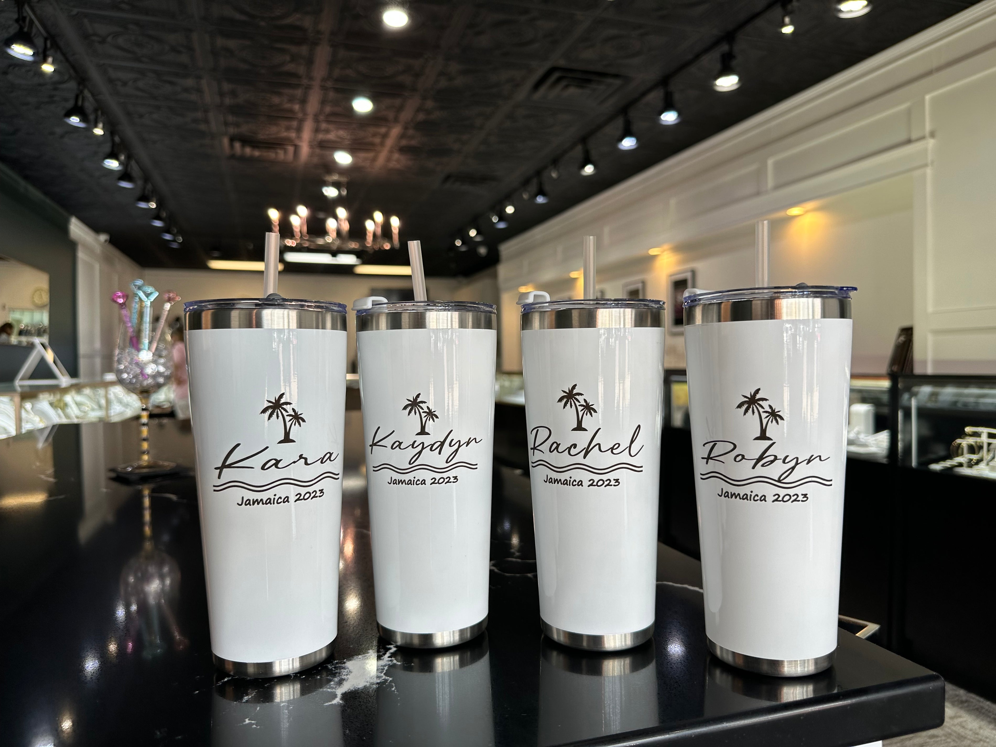Insulated Tumbler with Straw (22 oz.)